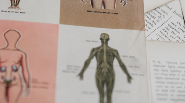 Diagram of a human body in textbook